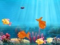 게임 Match the fish pairs