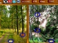 게임 Forest Similarities Game