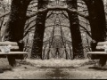 게임 Four Seasons Differences
