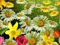 게임 Nature Flowers Puzzle
