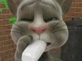 게임 Talking Tom Cat