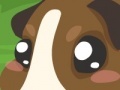 게임 Guinea pig care