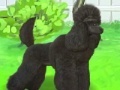 게임 Pretty poodle