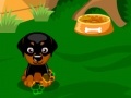 게임 Sweet Dog