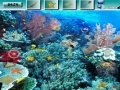 게임 Underwater World G2R