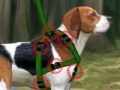 게임 Beagle training