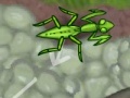 게임 Smart Mantis