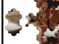 게임 beautiful Cat jigsaw puzzle
