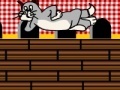 게임 Tom and Jerry escape
