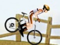 게임 Mountain Bike
