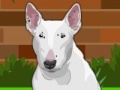 게임 Dress up Bull Terrier Dog
