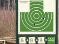 게임 Sharpshooter. The pistol.