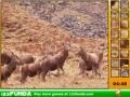 게임 Hidden Spots Animals