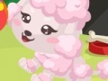 게임 Poodle care