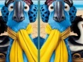 게임 Rio, spot the difference