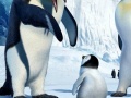 게임 Hidden Numbers Happy Feet Two