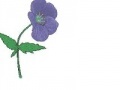 게임 Bee Believes Flowers