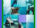 게임 Ocean and seals slide puzzle