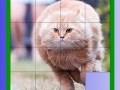 게임 Fat Cat Slide Puzzle