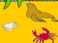 게임 Seal in the beach coloring