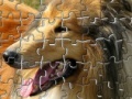 게임 Pet Puzzles: Dogs
