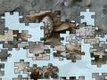 게임 Turtle puzzle