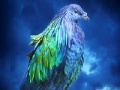게임 Lovely blue bird slide puzzle