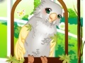 게임 Cute parrot dress up