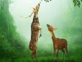 게임 Deers in the forest slide puzzle