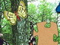 게임 3D Real Puzzle butterfly