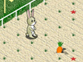 게임 Animal 4 Steps