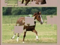 게임 Jigsaw Horse