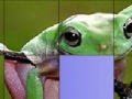 게임 Frog Slide Puzzle