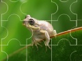 게임 Cute little frog puzzle