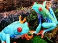 게임 Blue frogs slide puzzle