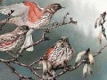게임 Birds on a tree slide puzzle