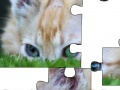 게임 Jigsaw: Cat Hiding