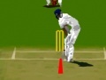 게임 Virtual cricket