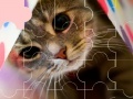 게임 Cat really cute 3 puzzle