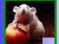 게임 Puzzle: Apple and Mouse