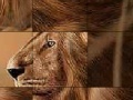 게임 Big brave lion slide puzzle