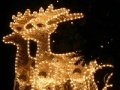게임 Christmas Lights Jigsaw