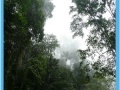 게임 Rain forest jigsaw