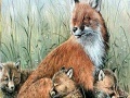 게임 Fox family in the nature puzzle