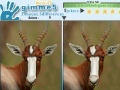 게임 Gimme 5 Wildlife