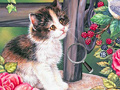 게임 Hidden Numbers Cat