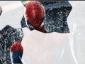 게임 Photo Spider Men