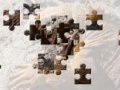 게임 Galapagos Land Iguana Puzzle 