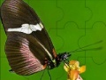 게임 Fantastic butterfly puzzle