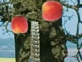게임 Applecatcher